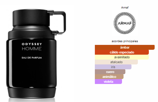 ODYSSEY MEGA 100ML EDP — detalle